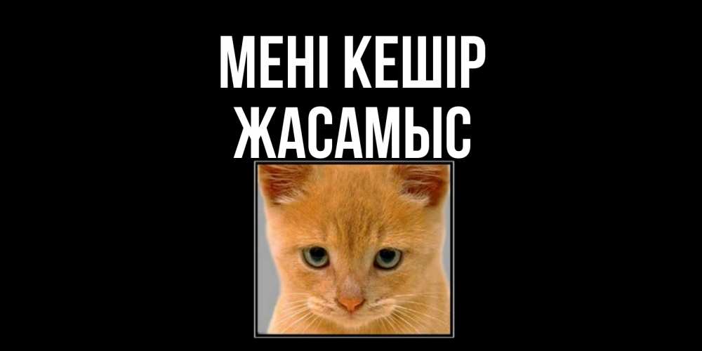 Күн сайын ашық хат с именем, Жасамыс Мені кешір рыжий грустный кот просит прощения Онлайн тегін жүктеп алу тілектері бар керемет карта 