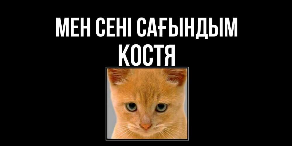Күн сайын ашық хат с именем, Костя Мен сені сағындым открытки рыжий котенок скучает по тебе Онлайн тегін жүктеп алу тілектері бар керемет карта 