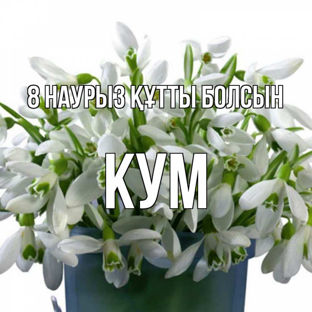 Күн сайын ашық хат с именем, Кум 8 наурыз құтты болсын цветы к международному женскому дню Онлайн тегін жүктеп алу тілектері бар керемет карта 
