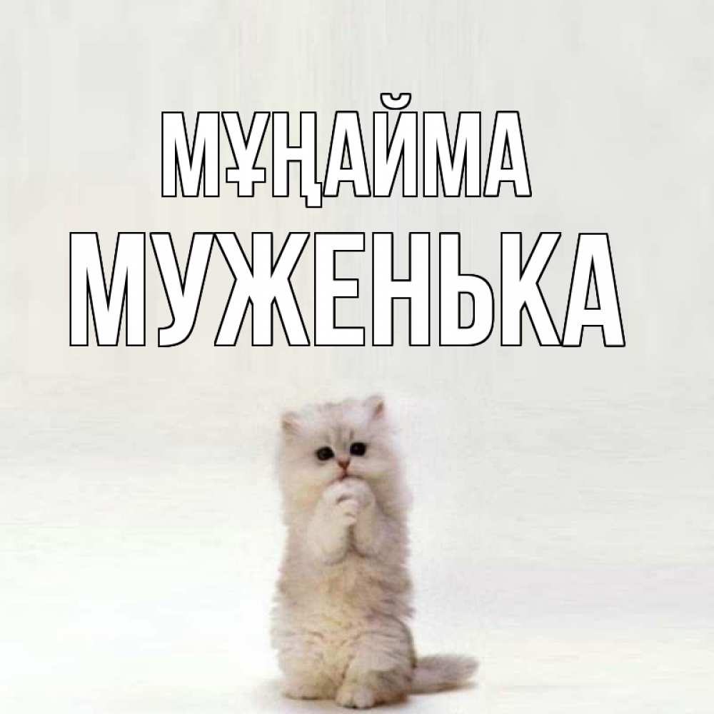 Күн сайын ашық хат с именем, Муженька Мұңайма грустный кот Онлайн тегін жүктеп алу тілектері бар керемет карта 
