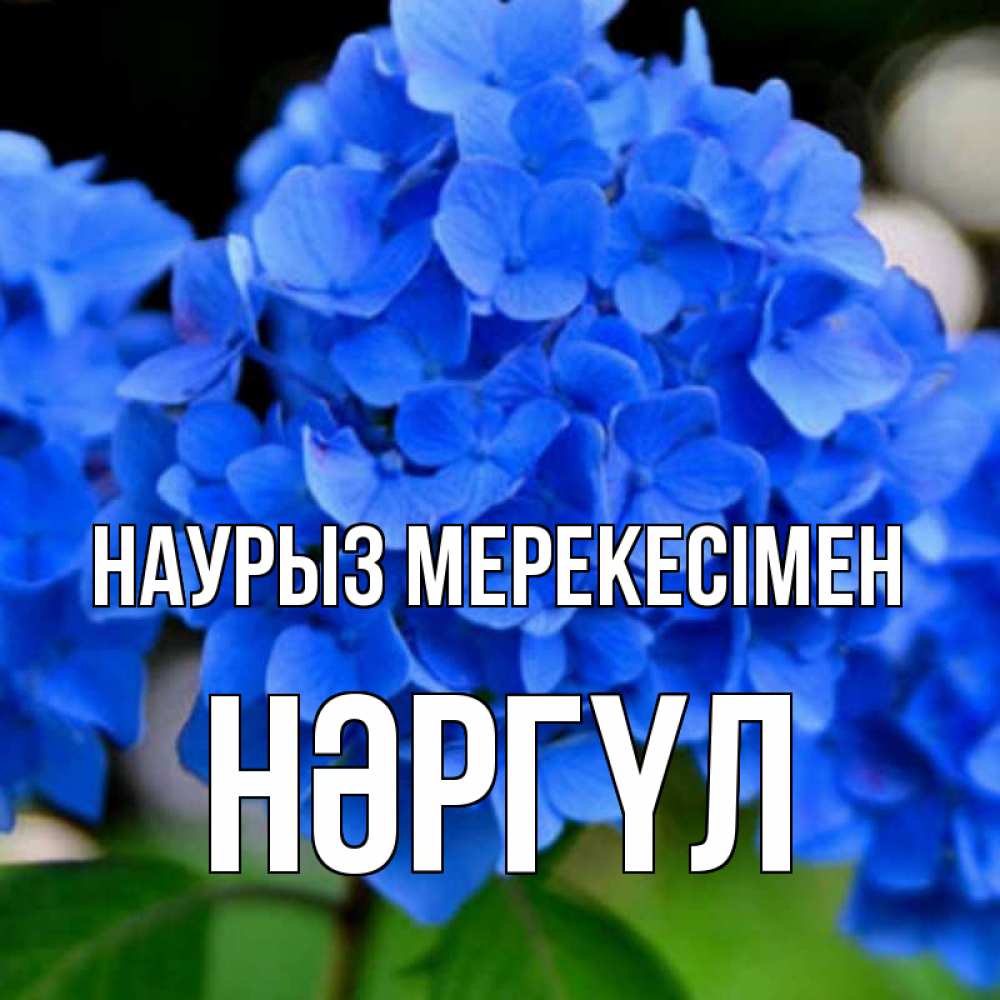 Күн сайын ашық хат с именем, НӘРГҮЛ Наурыз мерекесімен синие цветы Онлайн тегін жүктеп алу тілектері бар керемет карта 