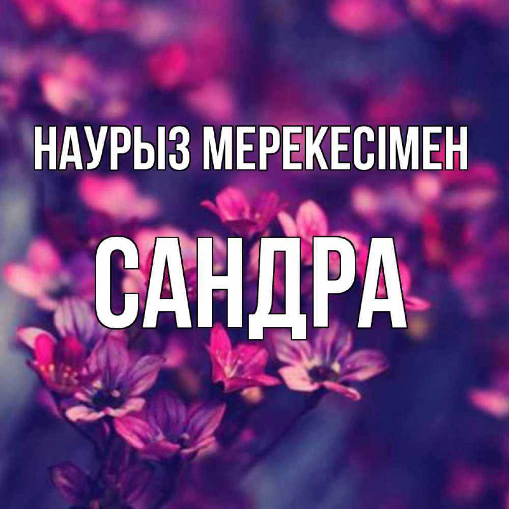 Күн сайын ашық хат с именем, Сандра Наурыз мерекесімен небольшие цветы 1 Онлайн тегін жүктеп алу тілектері бар керемет карта 