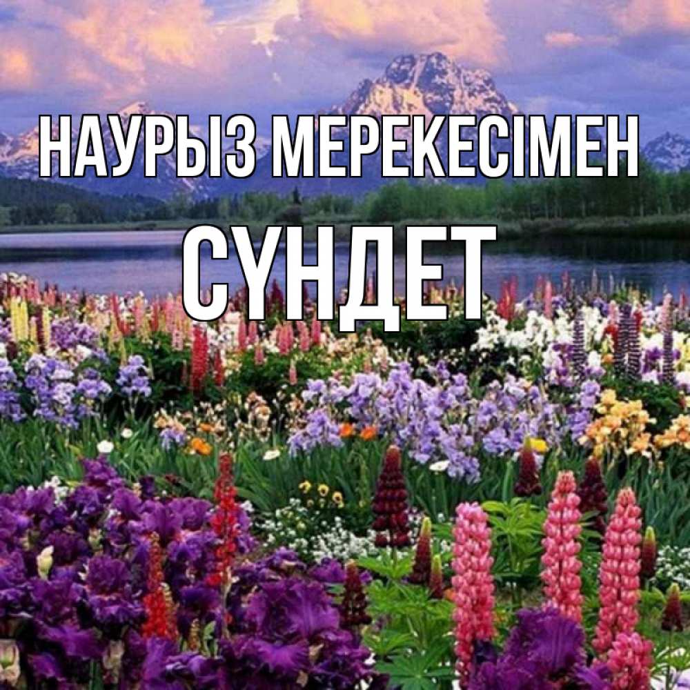 Күн сайын ашық хат с именем, СҮНДЕТ Наурыз мерекесімен праздник весны наурыз Онлайн тегін жүктеп алу тілектері бар керемет карта 