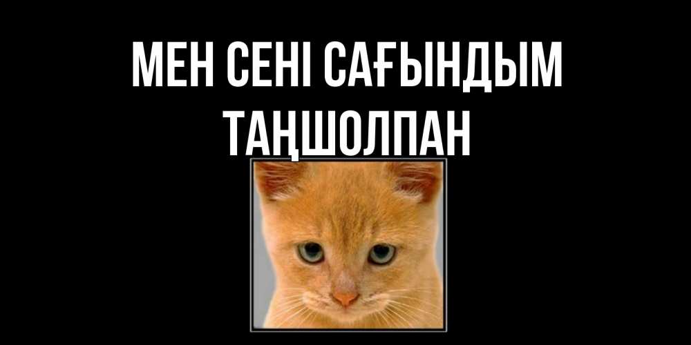 Күн сайын ашық хат с именем, ТАҢШОЛПАН Мен сені сағындым открытки рыжий котенок скучает по тебе Онлайн тегін жүктеп алу тілектері бар керемет карта 