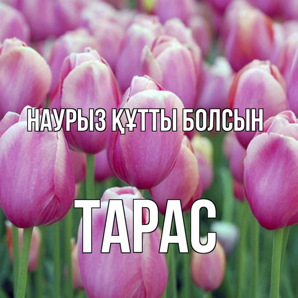 Күн сайын ашық хат с именем, Тарас Наурыз құтты болсын на наурыз  день 3 Онлайн тегін жүктеп алу тілектері бар керемет карта 