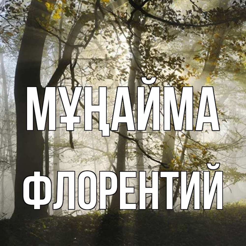 Күн сайын ашық хат с именем, Флорентий Мұңайма лес и свет Онлайн тегін жүктеп алу тілектері бар керемет карта 