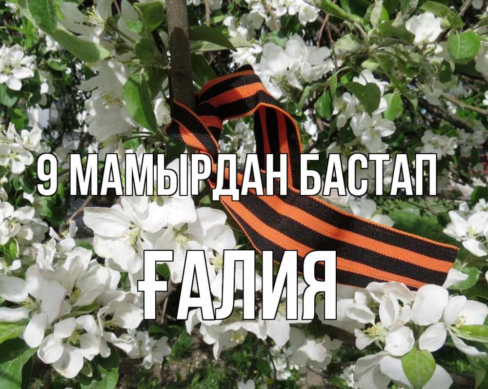 Күн сайын ашық хат с именем, ҒАЛИЯ 9 мамырдан бастап 9 мая Онлайн тегін жүктеп алу тілектері бар керемет карта 