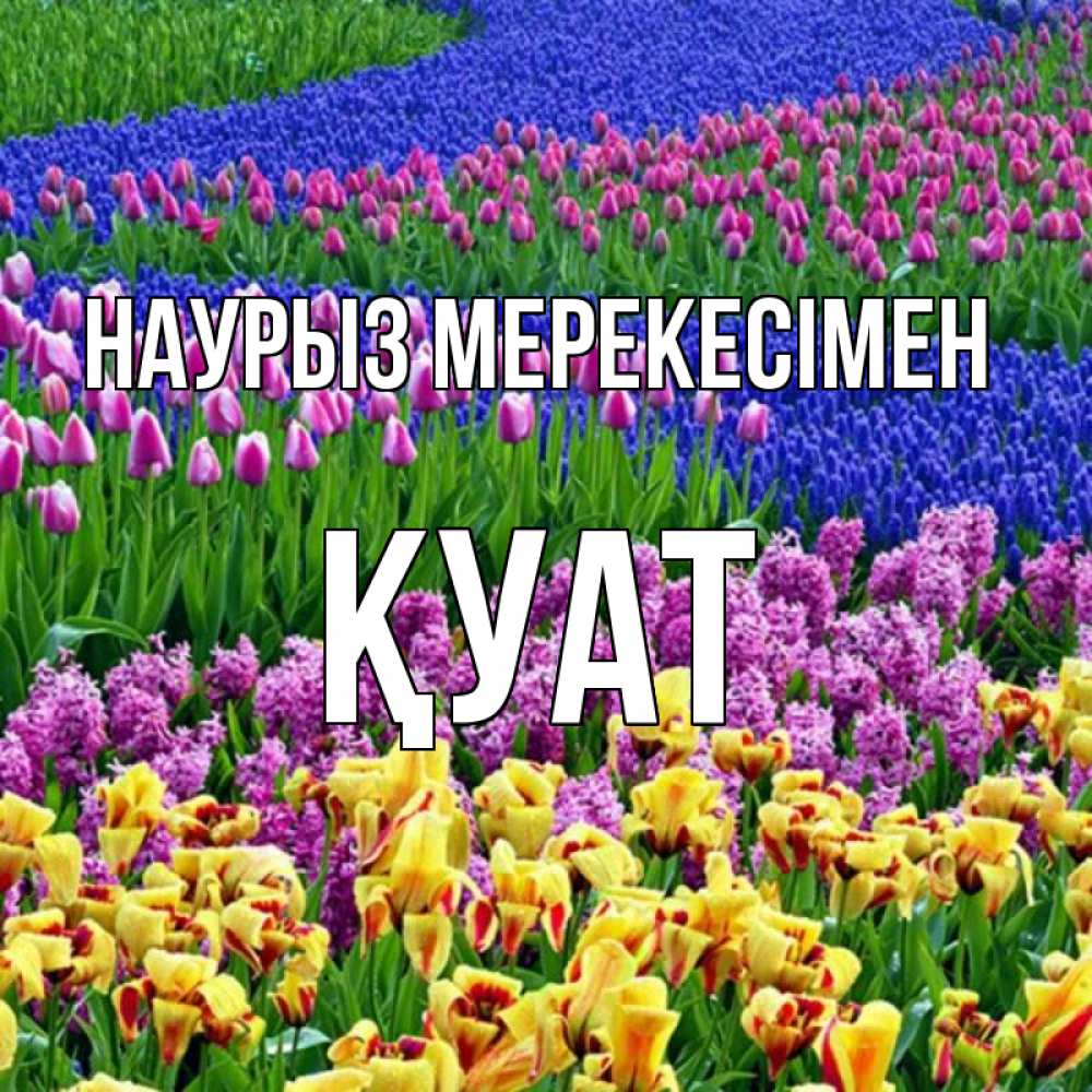 Күн сайын ашық хат с именем, ҚУАТ Наурыз мерекесімен цветы Онлайн тегін жүктеп алу тілектері бар керемет карта 
