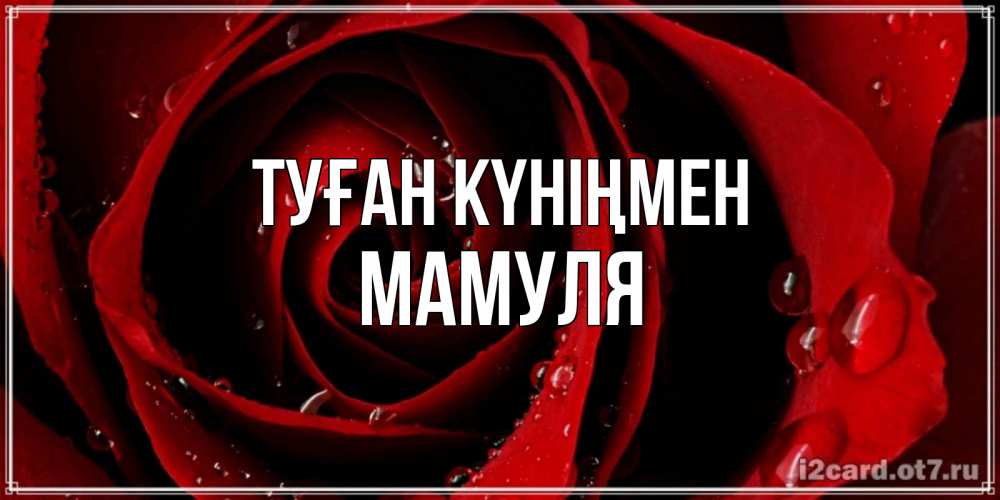 Күн сайын ашық хат с именем, Мамуля Туған күніңмен крупная бордовая роза Онлайн тегін жүктеп алу тілектері бар керемет карта 