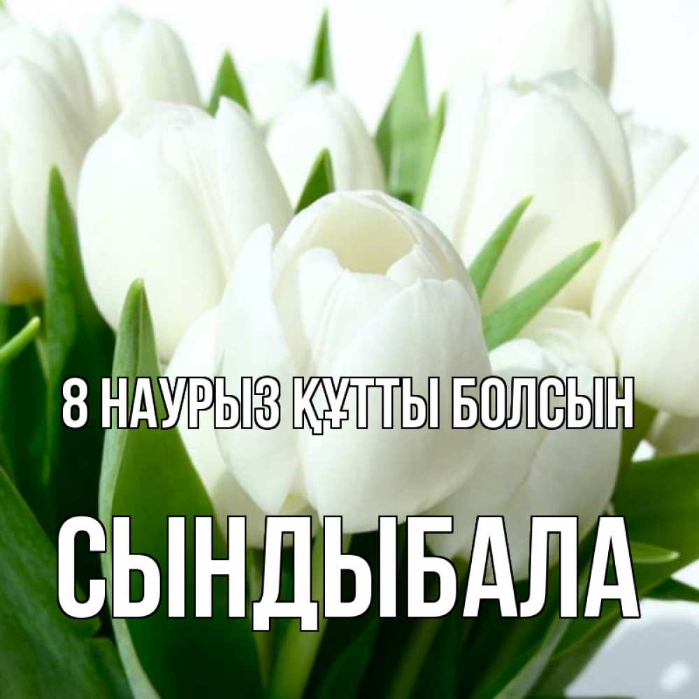 Күн сайын ашық хат с именем, СЫНДЫБАЛА 8 наурыз құтты болсын цветы Онлайн тегін жүктеп алу тілектері бар керемет карта 