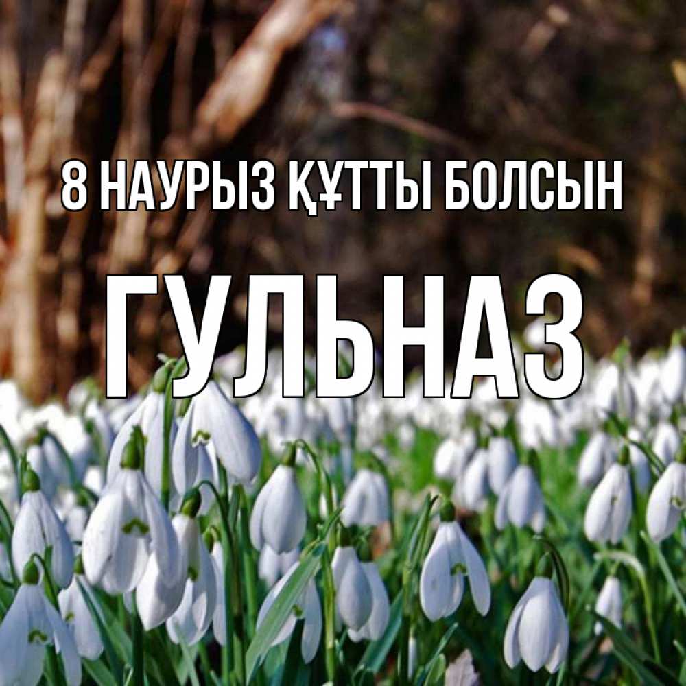 Күн сайын ашық хат с именем, Гульназ 8 наурыз құтты болсын с подснежниками 1 Онлайн тегін жүктеп алу тілектері бар керемет карта 