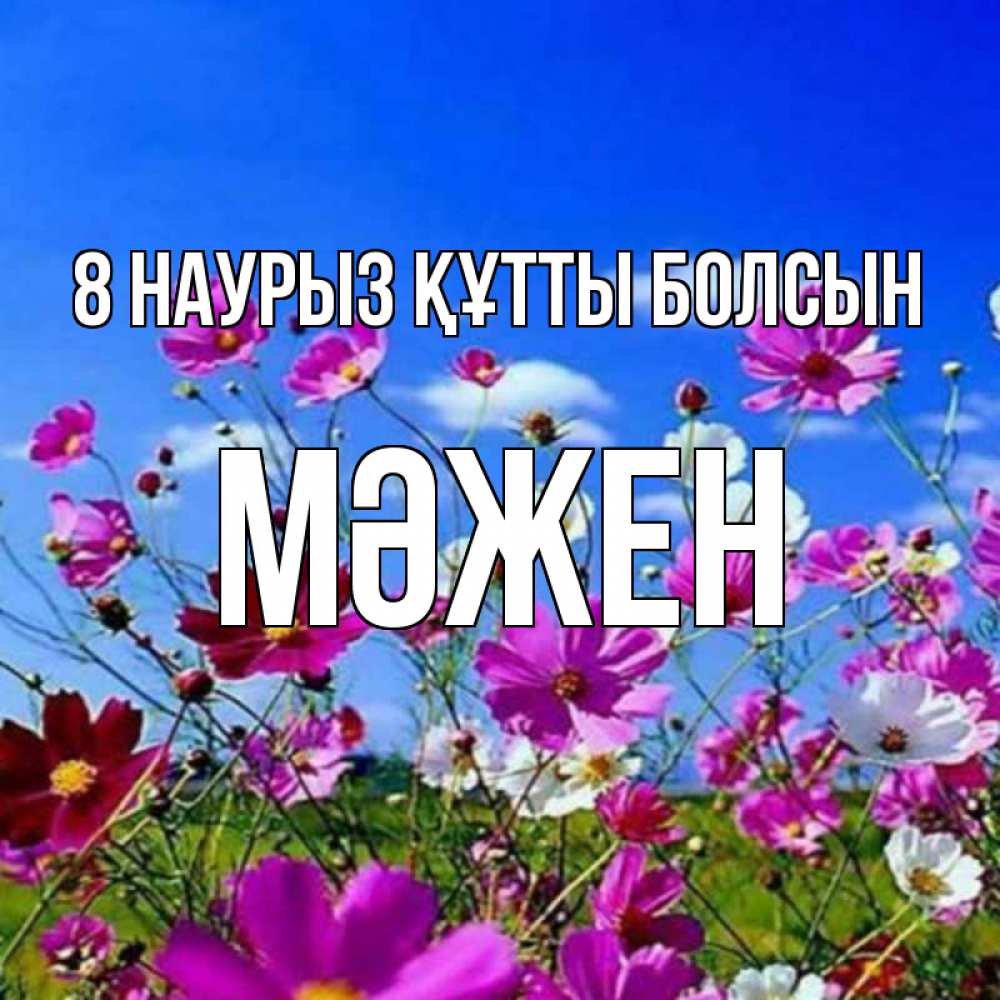 Күн сайын ашық хат с именем, МӘЖЕН 8 наурыз құтты болсын цветы Онлайн тегін жүктеп алу тілектері бар керемет карта 