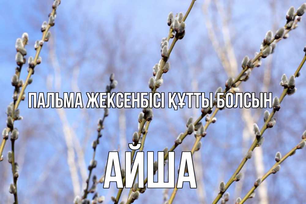 Күн сайын ашық хат с именем, АЙША Пальма жексенбісі құтты болсын верба Онлайн тегін жүктеп алу тілектері бар керемет карта 