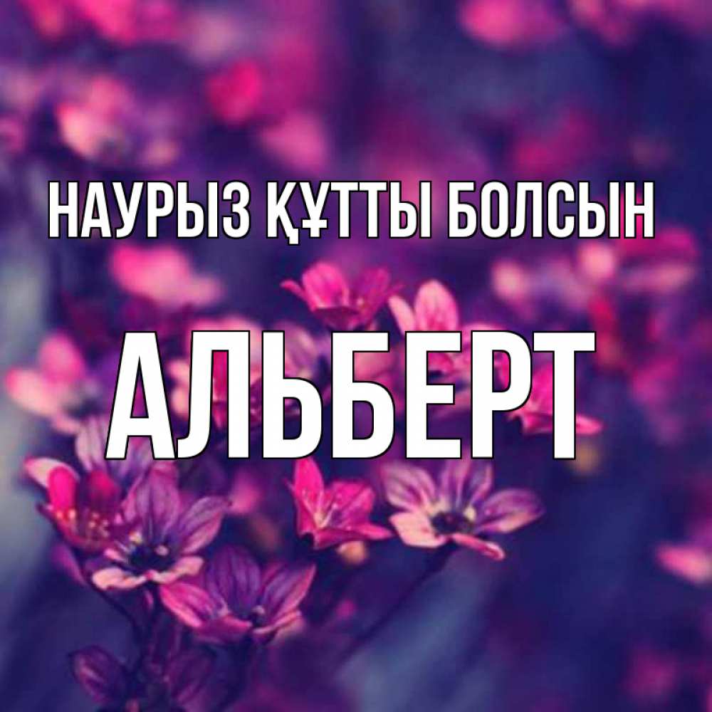 Күн сайын ашық хат с именем, Альберт Наурыз құтты болсын небольшие цветы 1 Онлайн тегін жүктеп алу тілектері бар керемет карта 