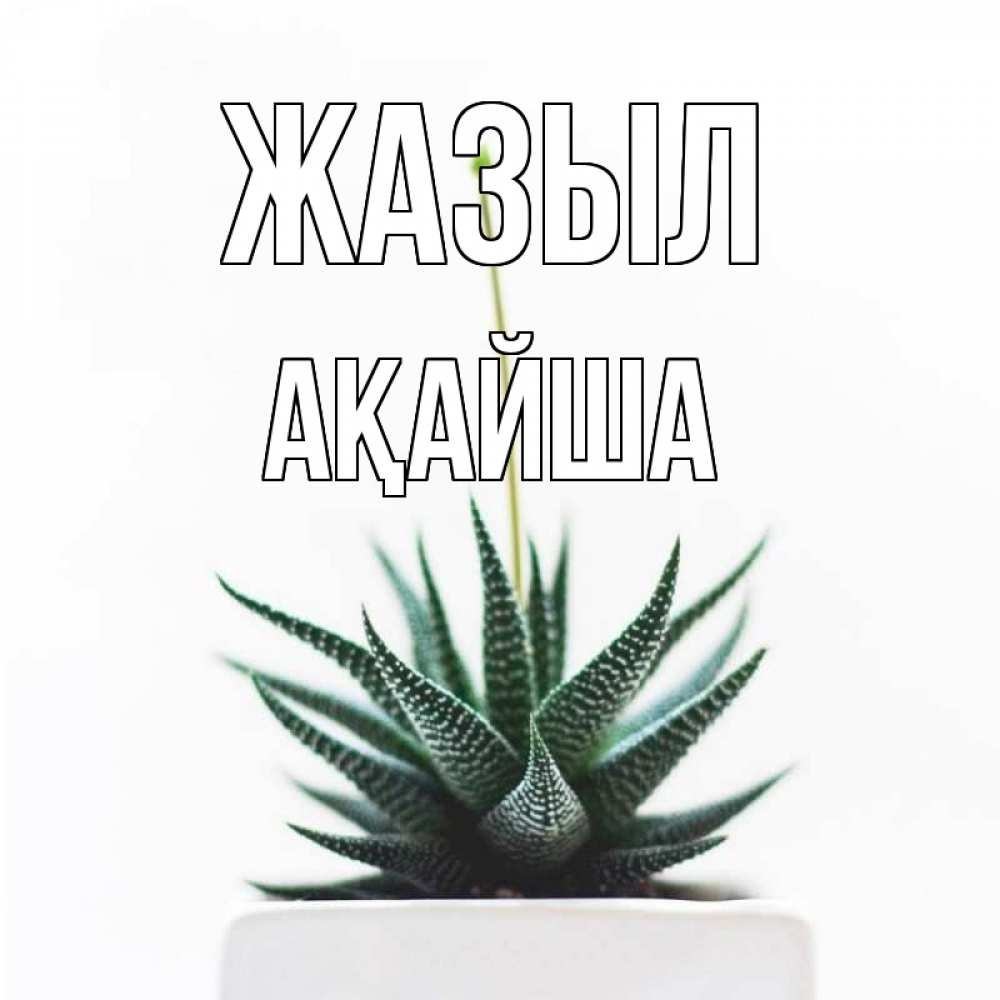 Күн сайын ашық хат с именем, АҚАЙША Жазыл короче это непонятная колючка Онлайн тегін жүктеп алу тілектері бар керемет карта 