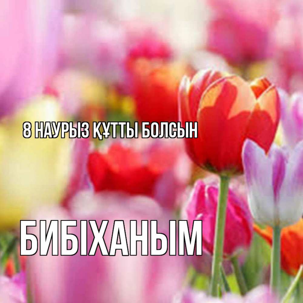 Күн сайын ашық хат с именем, БИБІХАНЫМ 8 наурыз құтты болсын на международный женский день 2 Онлайн тегін жүктеп алу тілектері бар керемет карта 