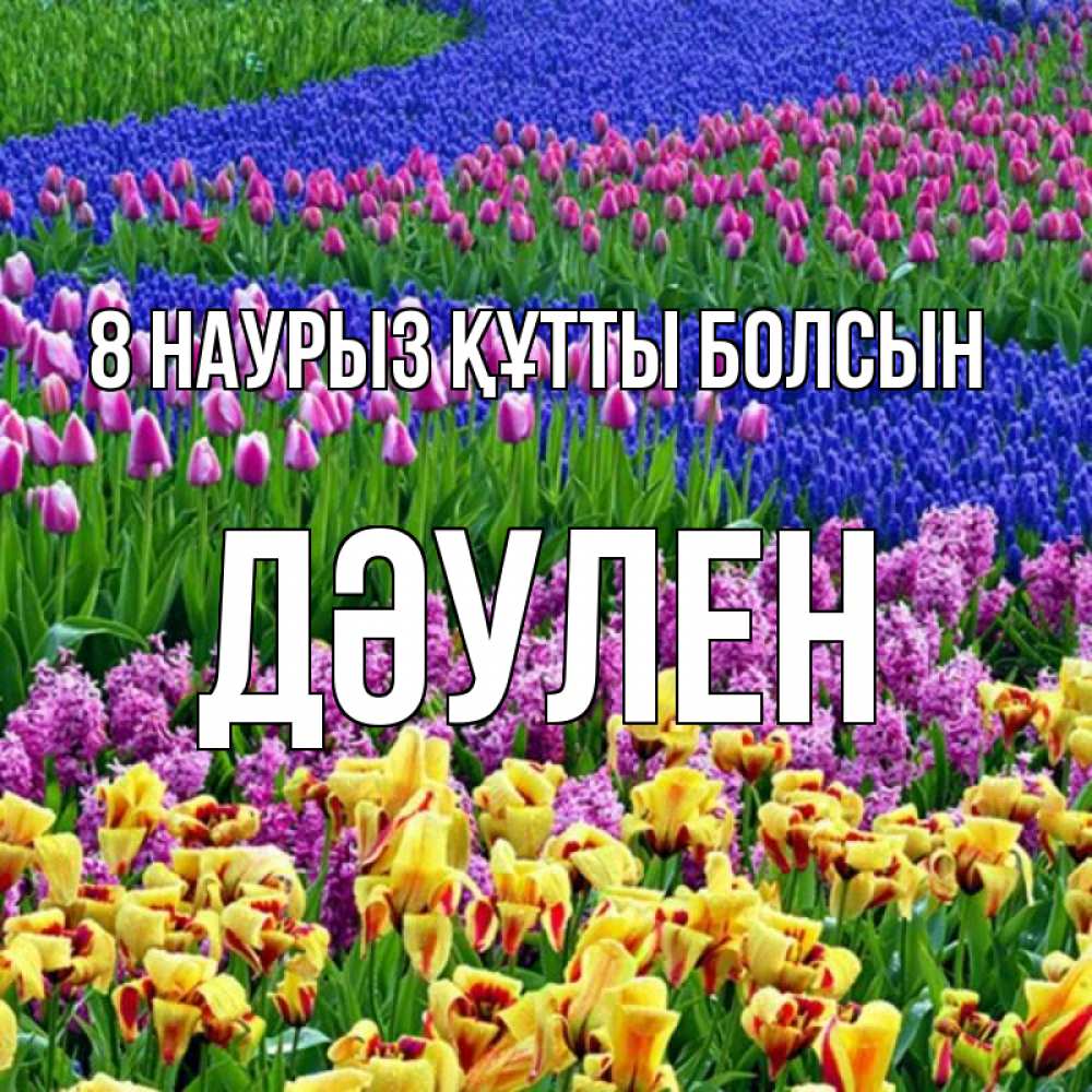 Күн сайын ашық хат с именем, Дәулен 8 наурыз құтты болсын цветы Онлайн тегін жүктеп алу тілектері бар керемет карта 