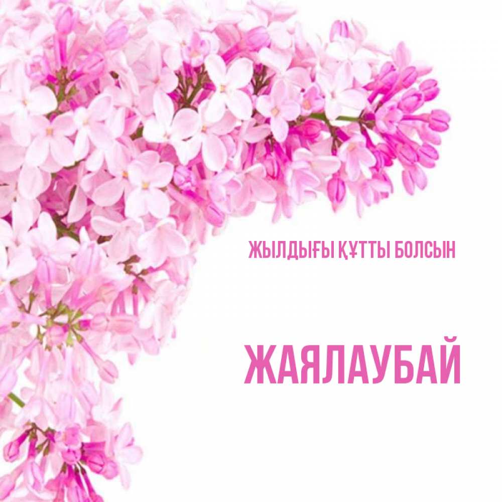 Күн сайын ашық хат с именем, Жаялаубай Жылдығы құтты болсын Сирень на белом фоне Онлайн тегін жүктеп алу тілектері бар керемет карта 