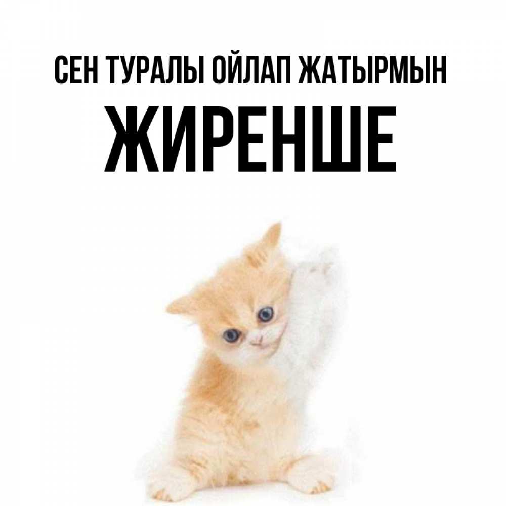 Күн сайын ашық хат с именем, Жиренше Сен туралы ойлап жатырмын зверушки и милота Онлайн тегін жүктеп алу тілектері бар керемет карта 