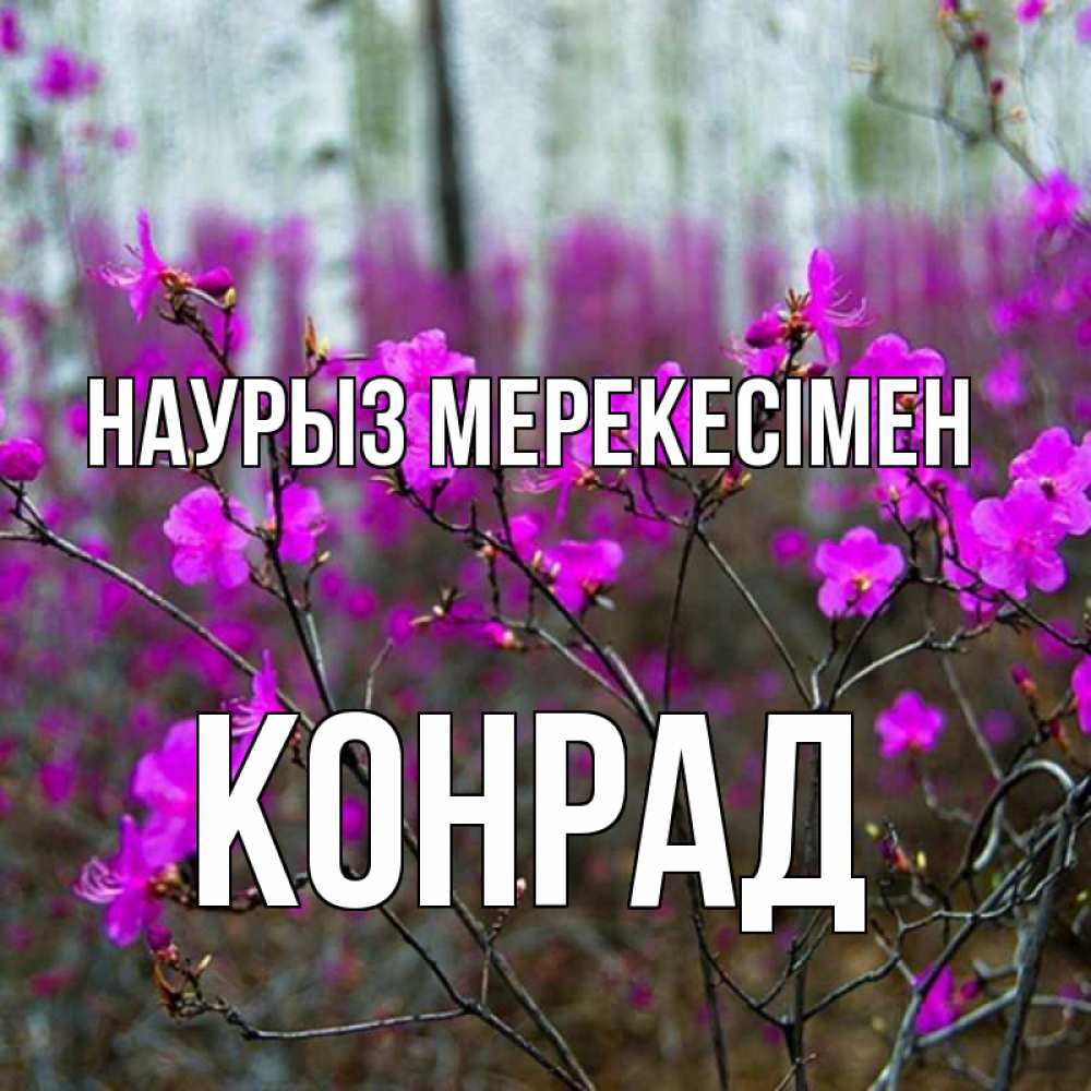 Күн сайын ашық хат с именем, Конрад Наурыз мерекесімен дикие цветы Онлайн тегін жүктеп алу тілектері бар керемет карта 
