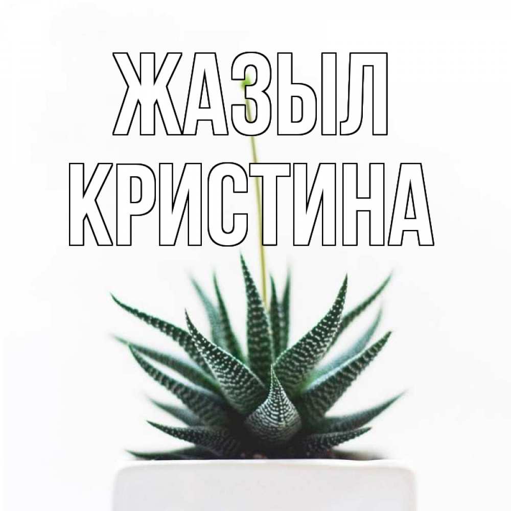 Күн сайын ашық хат с именем, Кристина Жазыл короче это непонятная колючка Онлайн тегін жүктеп алу тілектері бар керемет карта 