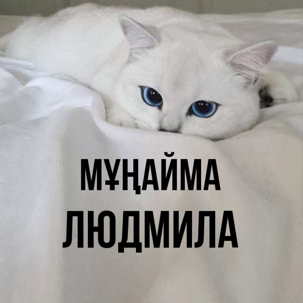 Күн сайын ашық хат с именем, Людмила Мұңайма Голубоглазая кошка Онлайн тегін жүктеп алу тілектері бар керемет карта 