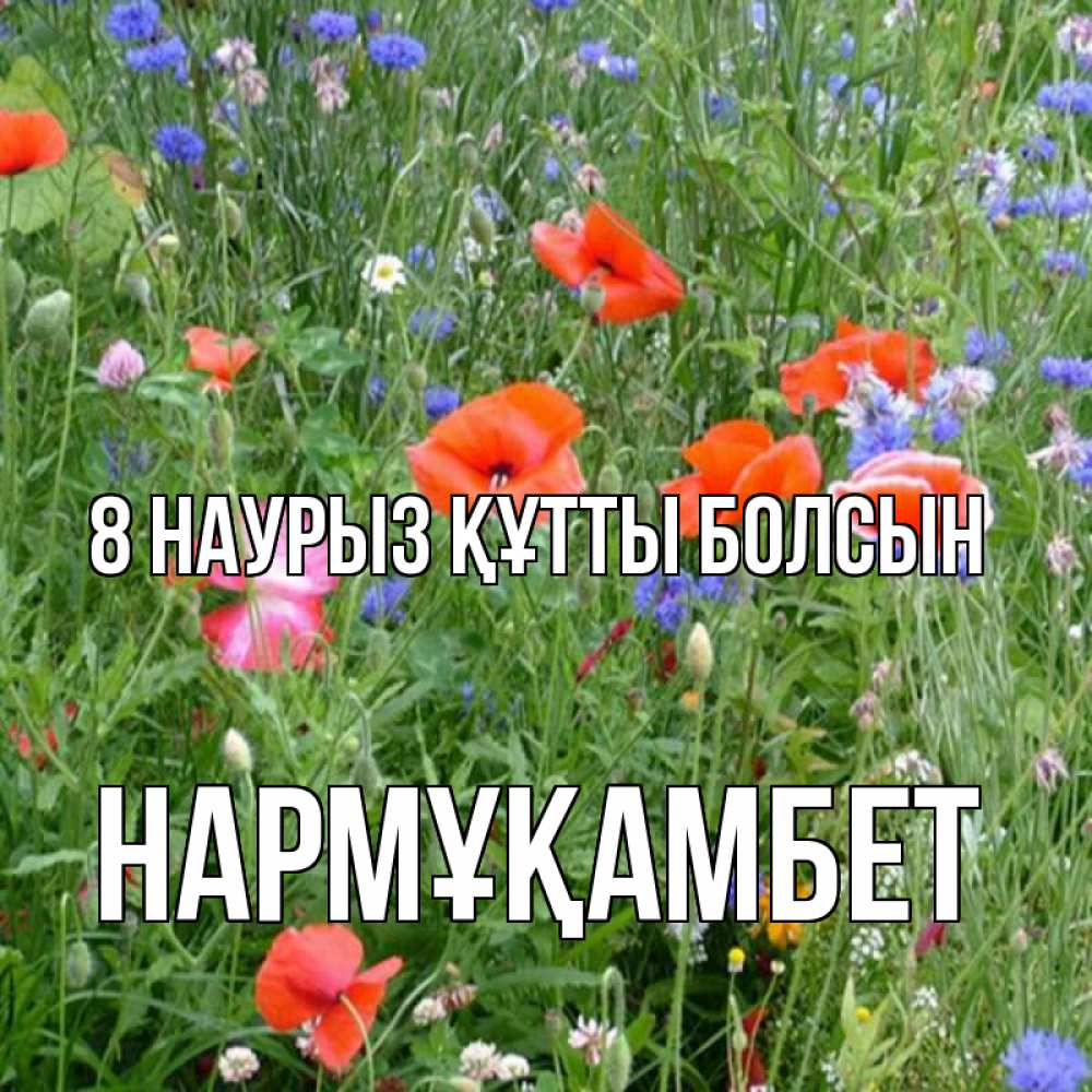 Күн сайын ашық хат с именем, НАРМҰҚАМБЕТ 8 наурыз құтты болсын международный женский день 4 Онлайн тегін жүктеп алу тілектері бар керемет карта 