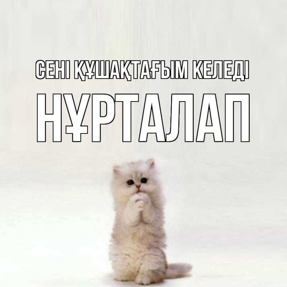 Күн сайын ашық хат с именем, НҰРТАЛАП сені құшақтағым келеді открытки с креативными подписями Онлайн тегін жүктеп алу тілектері бар керемет карта 