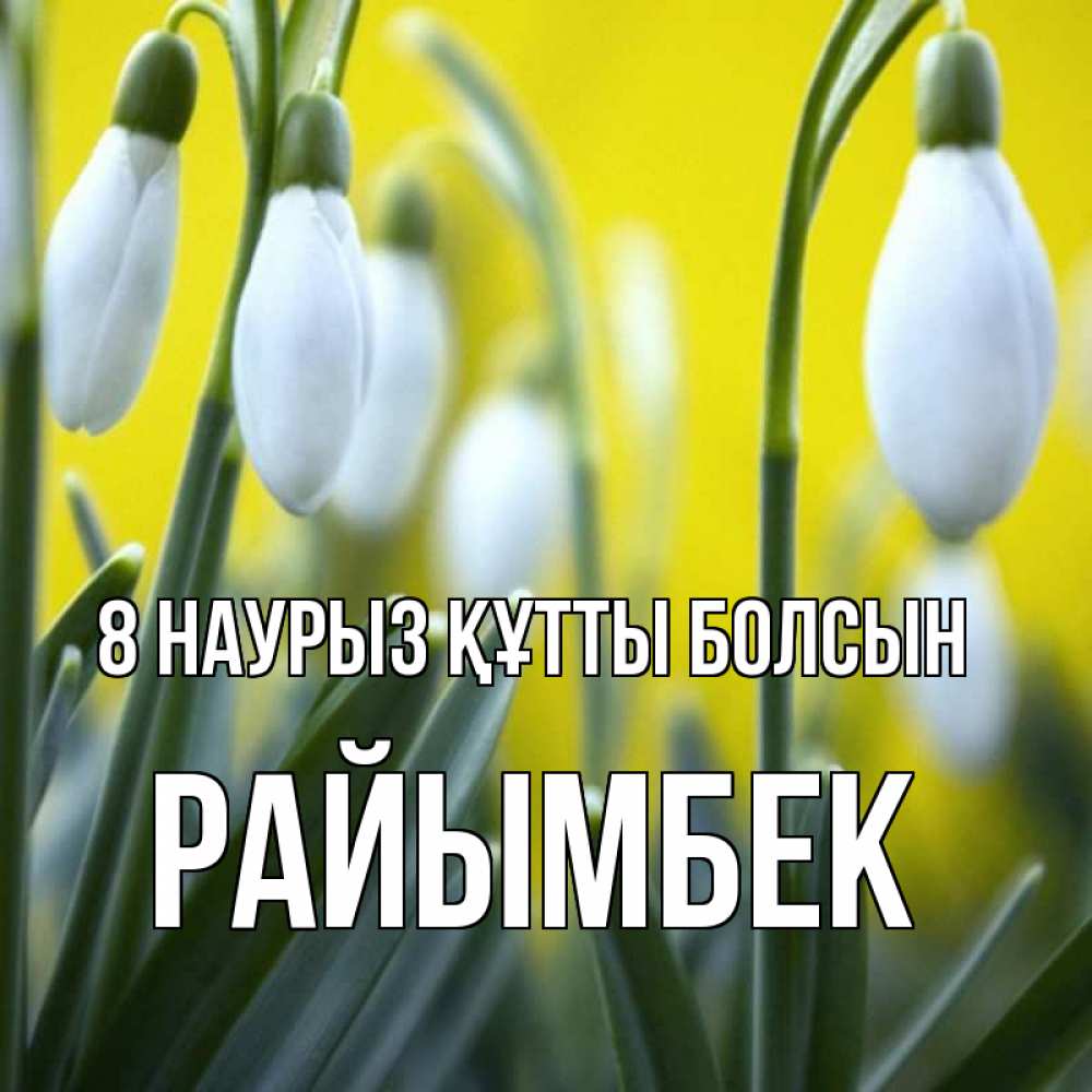 Күн сайын ашық хат с именем, РАЙЫМБЕК 8 наурыз құтты болсын весенние цветы Онлайн тегін жүктеп алу тілектері бар керемет карта 