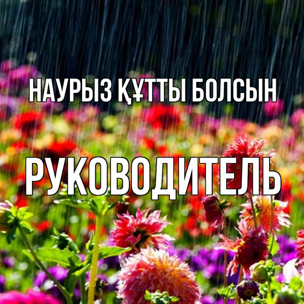 Күн сайын ашық хат с именем, Руководитель Наурыз құтты болсын цветы под дождиком к наурызу Онлайн тегін жүктеп алу тілектері бар керемет карта 