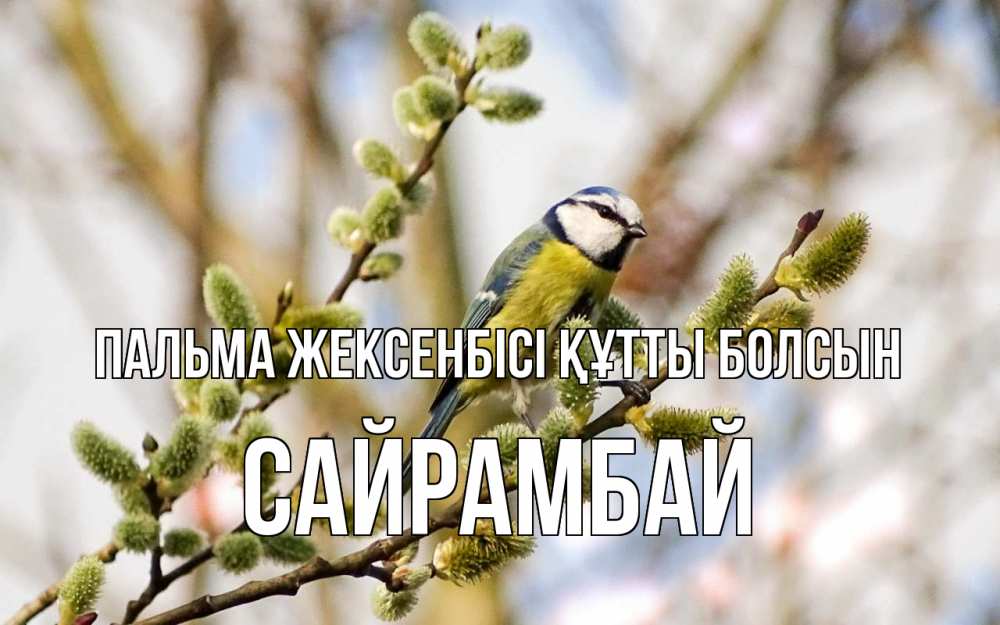 Күн сайын ашық хат с именем, САЙРАМБАЙ Пальма жексенбісі құтты болсын верба Онлайн тегін жүктеп алу тілектері бар керемет карта 