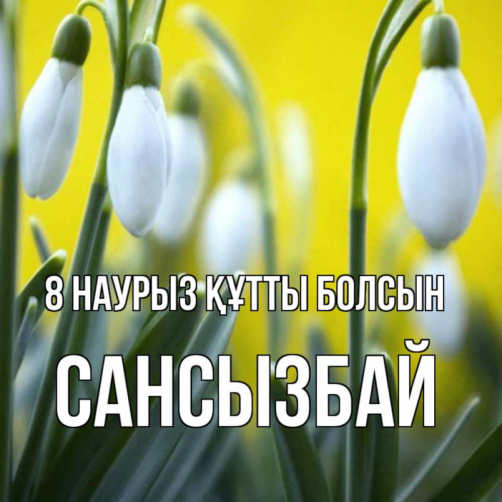 Күн сайын ашық хат с именем, САНСЫЗБАЙ 8 наурыз құтты болсын весенние цветы Онлайн тегін жүктеп алу тілектері бар керемет карта 