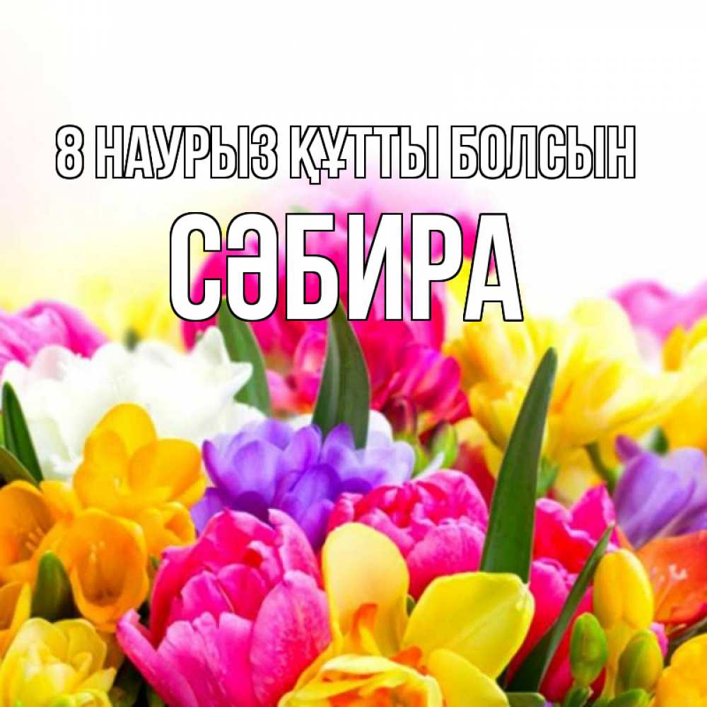 Күн сайын ашық хат с именем, СӘБИРА 8 наурыз құтты болсын тюльпаны Онлайн тегін жүктеп алу тілектері бар керемет карта 