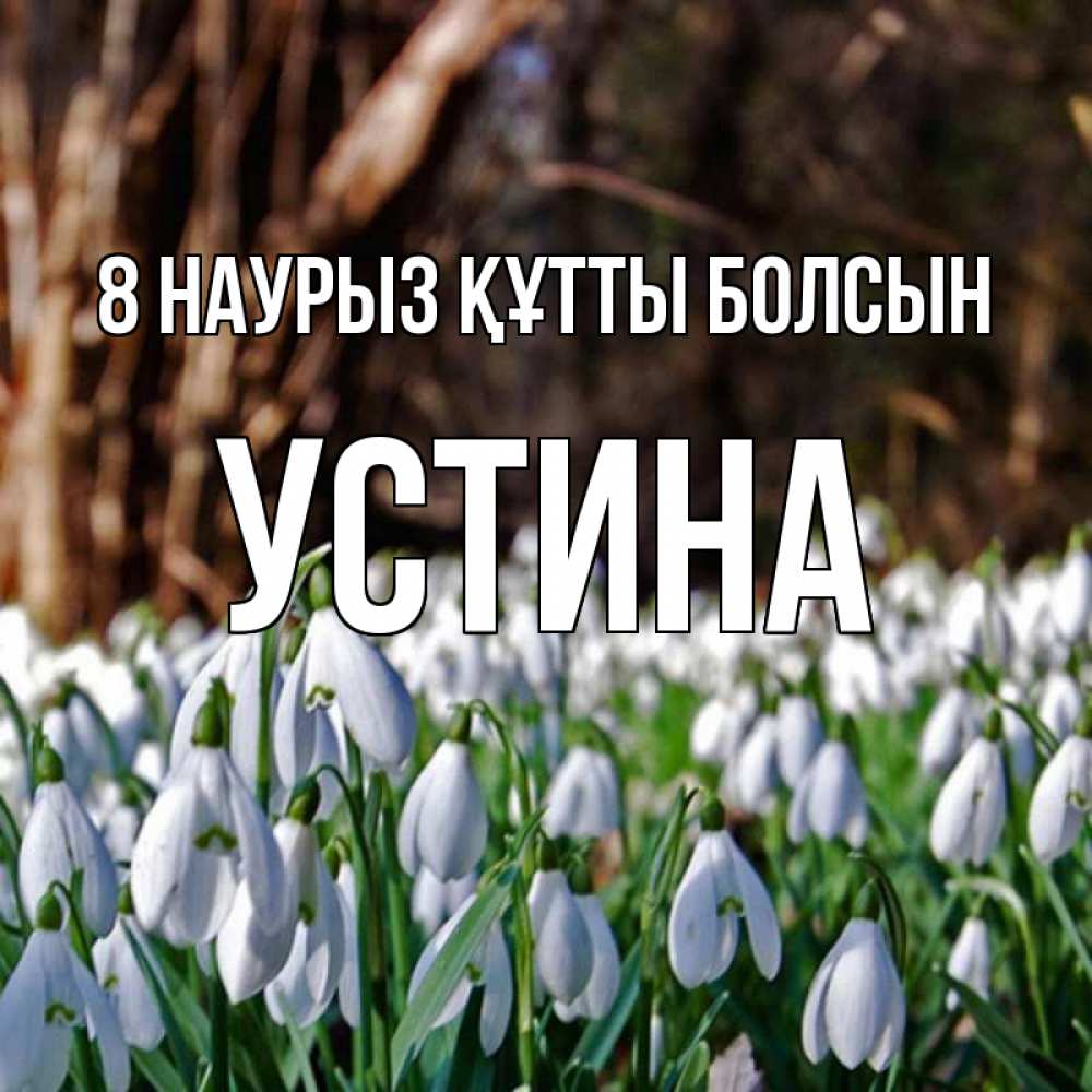 Күн сайын ашық хат с именем, Устина 8 наурыз құтты болсын с подснежниками 1 Онлайн тегін жүктеп алу тілектері бар керемет карта 