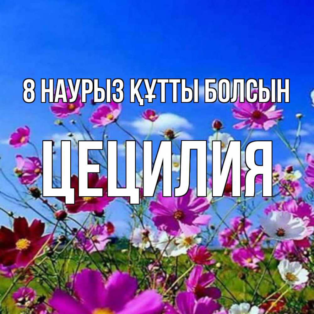 Күн сайын ашық хат с именем, Цецилия 8 наурыз құтты болсын цветы Онлайн тегін жүктеп алу тілектері бар керемет карта 