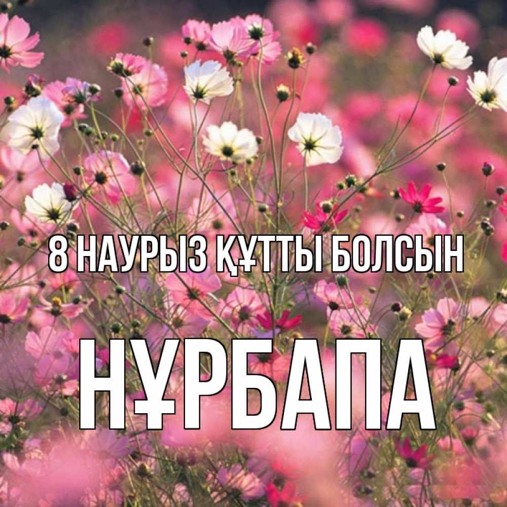 Күн сайын ашық хат с именем, НҰРБАПА 8 наурыз құтты болсын красиво 1 Онлайн тегін жүктеп алу тілектері бар керемет карта 