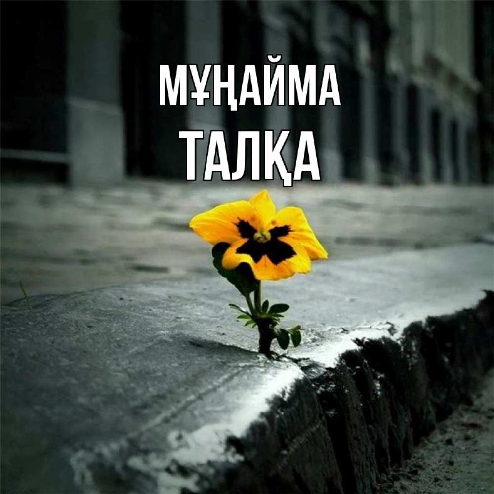 Күн сайын ашық хат с именем, ТАЛҚА Мұңайма не сдавайся Онлайн тегін жүктеп алу тілектері бар керемет карта 