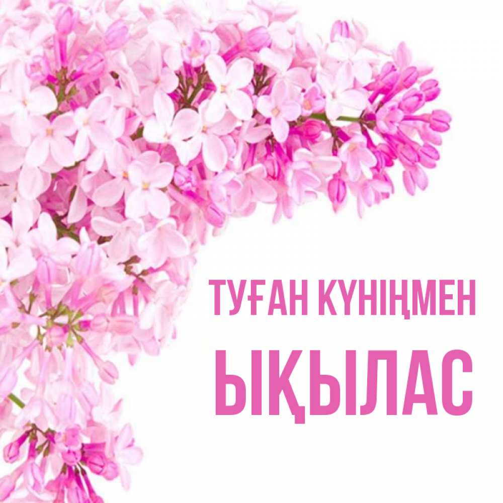 Күн сайын ашық хат с именем, ЫҚЫЛАС Туған күніңмен Сирень на белом фоне Онлайн тегін жүктеп алу тілектері бар керемет карта 