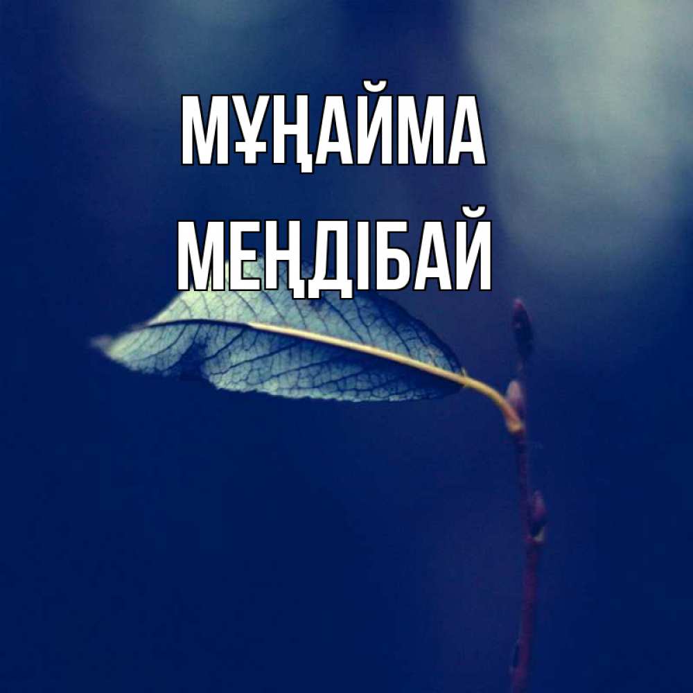 Күн сайын ашық хат с именем, МЕҢДІБАЙ Мұңайма растение Онлайн тегін жүктеп алу тілектері бар керемет карта 