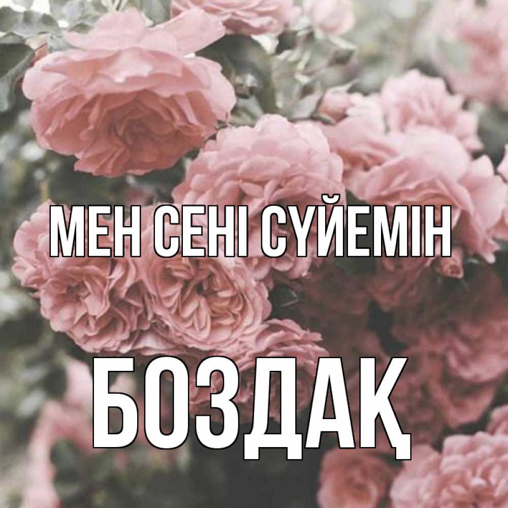 Күн сайын ашық хат с именем, Боздақ Мен сені сүйемін розы 3 Онлайн тегін жүктеп алу тілектері бар керемет карта 