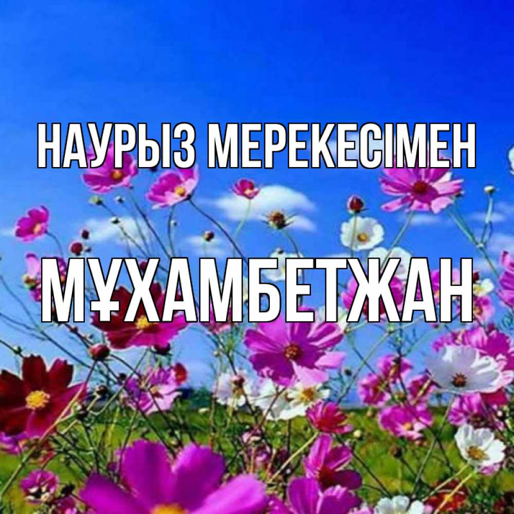 Күн сайын ашық хат с именем, МҰХАМБЕТЖАН Наурыз мерекесімен цветы Онлайн тегін жүктеп алу тілектері бар керемет карта 