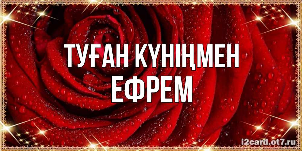 Күн сайын ашық хат с именем, Ефрем Туған күніңмен роса на розе блестящая в лучах солнца Онлайн тегін жүктеп алу тілектері бар керемет карта 