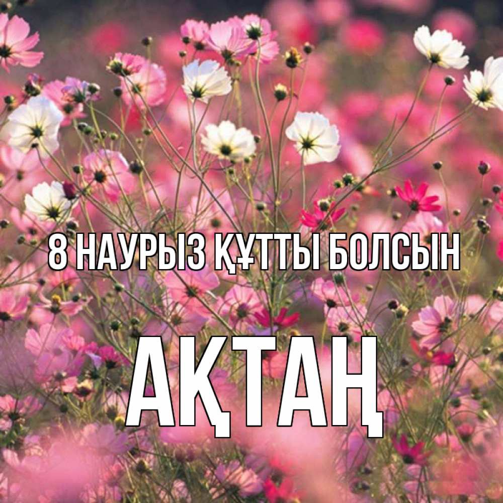 Күн сайын ашық хат с именем, Ақтаң 8 наурыз құтты болсын красиво 1 Онлайн тегін жүктеп алу тілектері бар керемет карта 