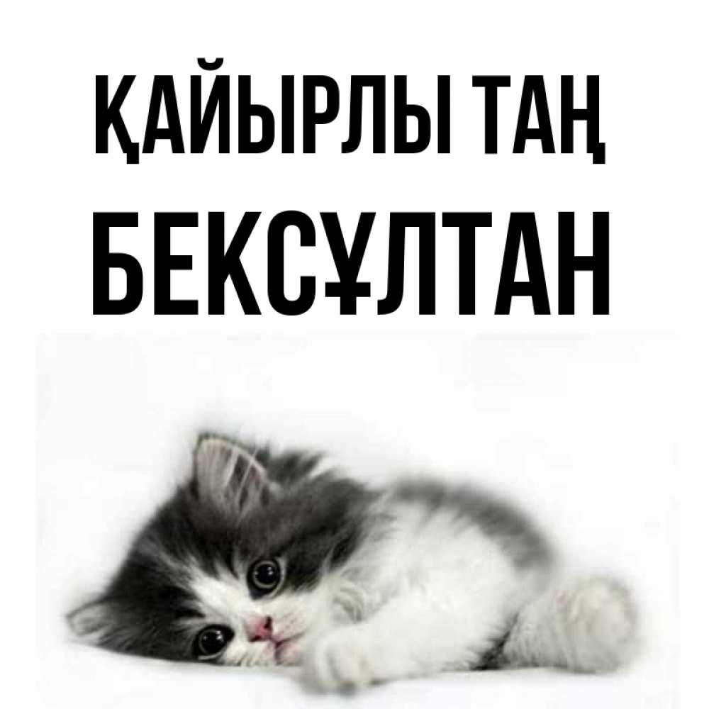 Күн сайын ашық хат с именем, Бексұлтан Қайырлы таң кот лапки Онлайн тегін жүктеп алу тілектері бар керемет карта 