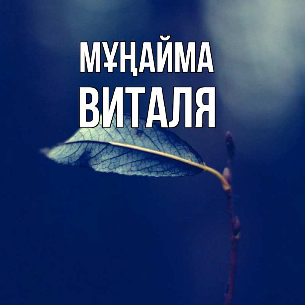 Күн сайын ашық хат с именем, Виталя Мұңайма растение Онлайн тегін жүктеп алу тілектері бар керемет карта 