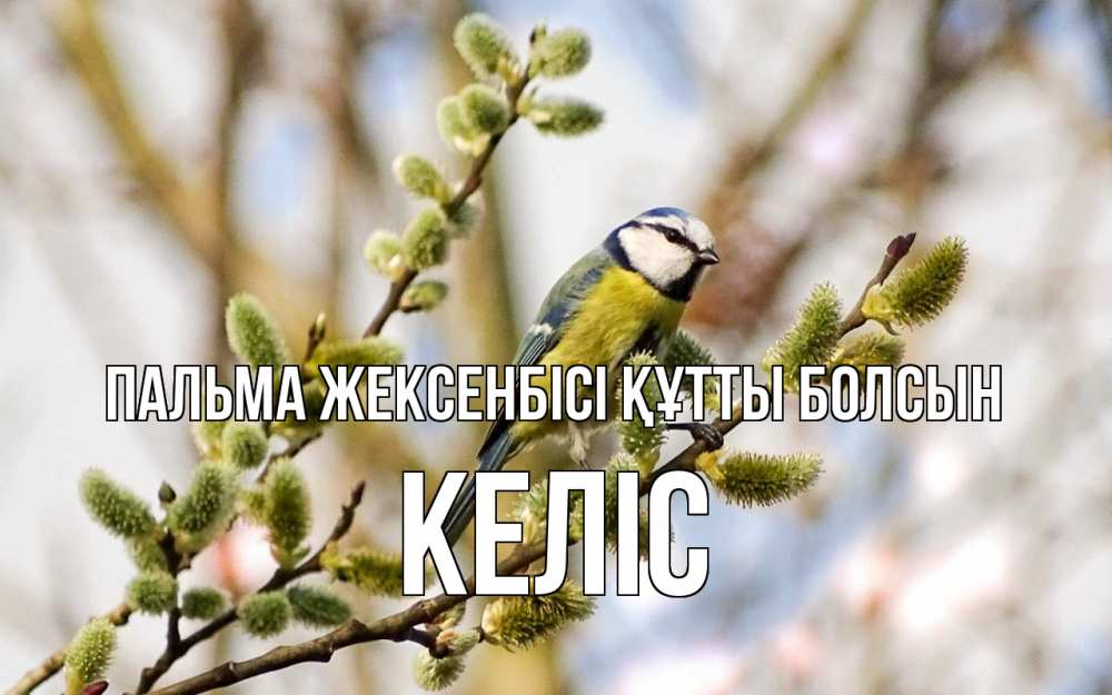 Күн сайын ашық хат с именем, Келіс Пальма жексенбісі құтты болсын верба Онлайн тегін жүктеп алу тілектері бар керемет карта 