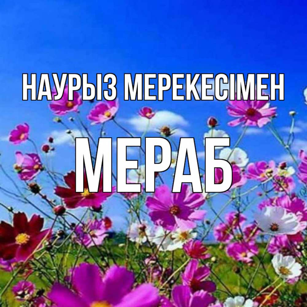 Күн сайын ашық хат с именем, Мераб Наурыз мерекесімен цветы Онлайн тегін жүктеп алу тілектері бар керемет карта 