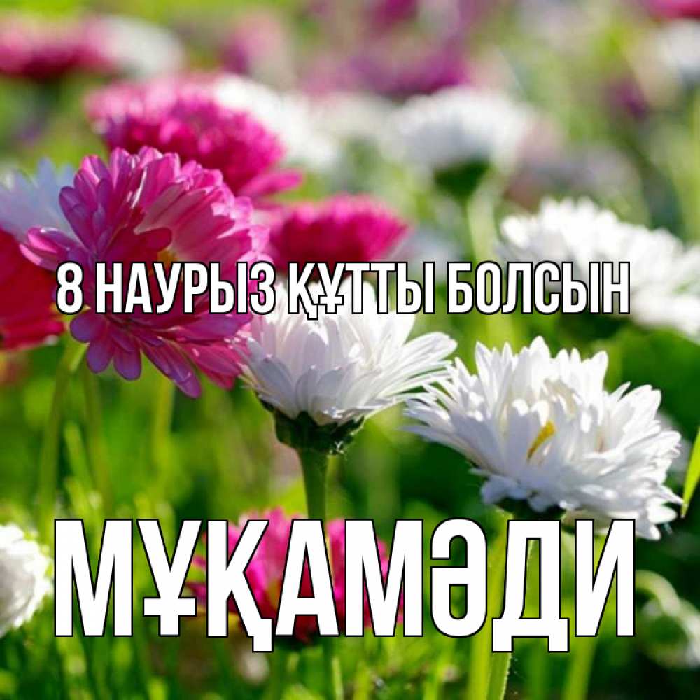 Күн сайын ашық хат с именем, МҰҚАМӘДИ 8 наурыз құтты болсын международный женский день 1 Онлайн тегін жүктеп алу тілектері бар керемет карта 