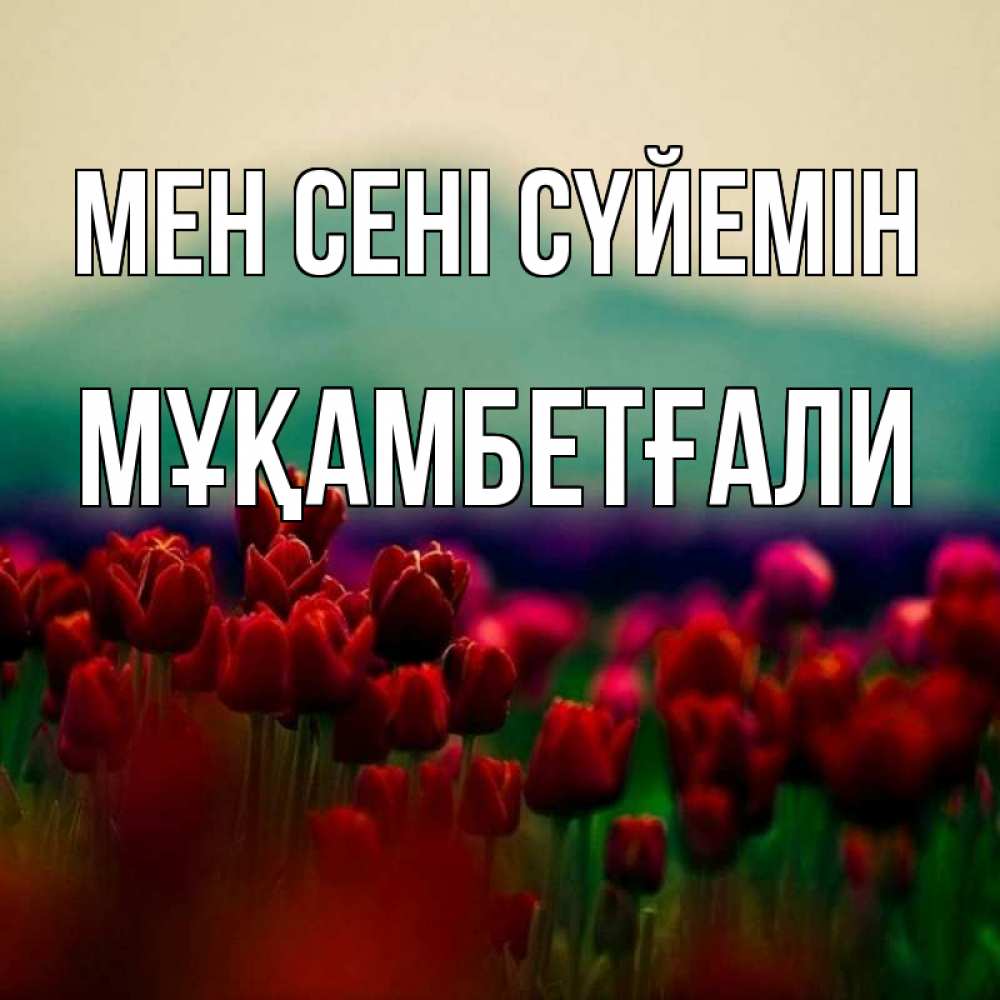 Күн сайын ашық хат с именем, Мұқамбетғали Мен сені сүйемін тюльпаны 4 Онлайн тегін жүктеп алу тілектері бар керемет карта 