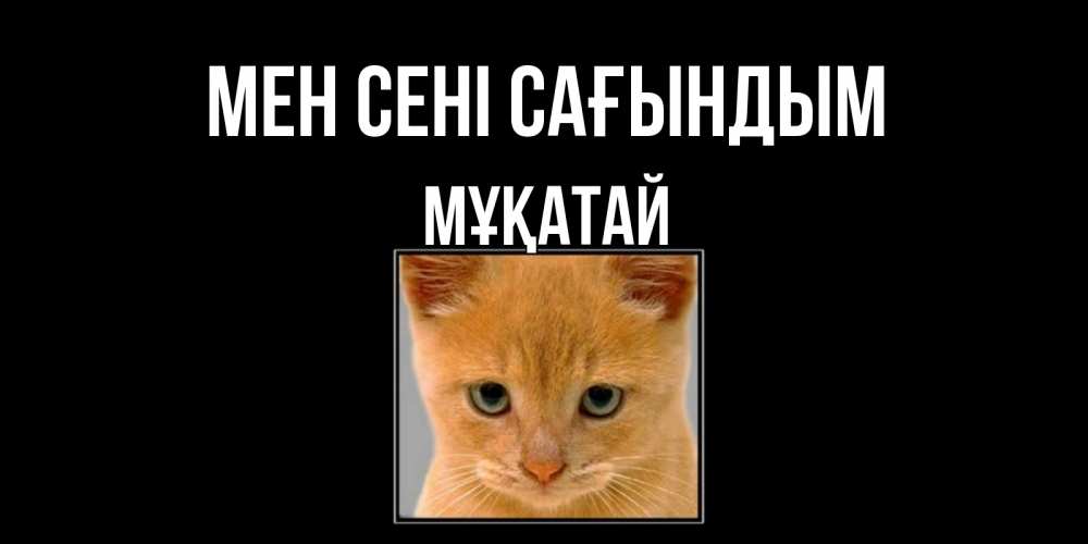 Күн сайын ашық хат с именем, Мұқатай Мен сені сағындым открытки рыжий котенок скучает по тебе Онлайн тегін жүктеп алу тілектері бар керемет карта 